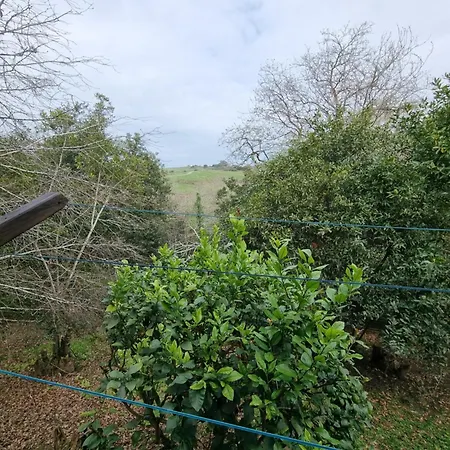 El Raitin Apartmán *