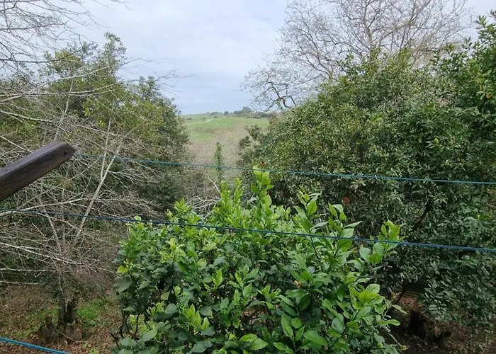 El Raitin Appartement *